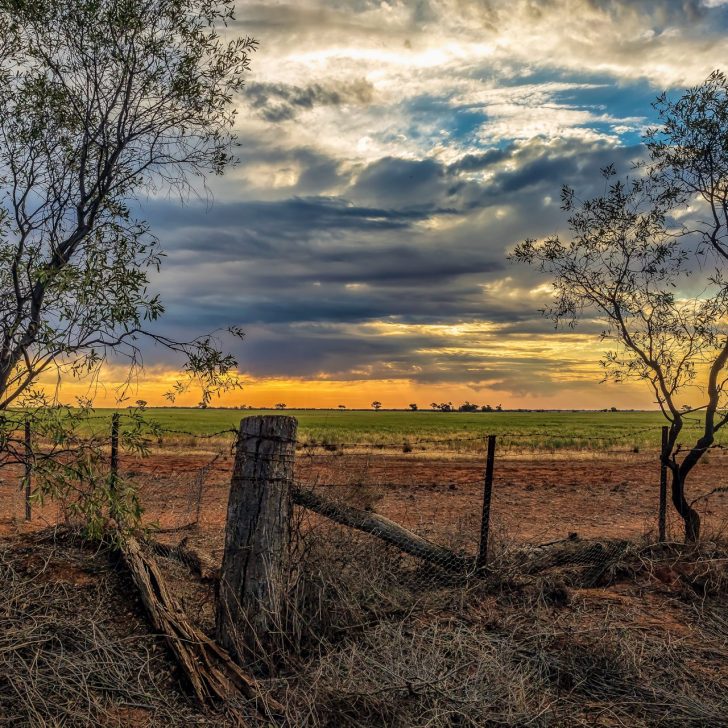 Elders Real Estate Wycheproof Your Local Real Estate Experts