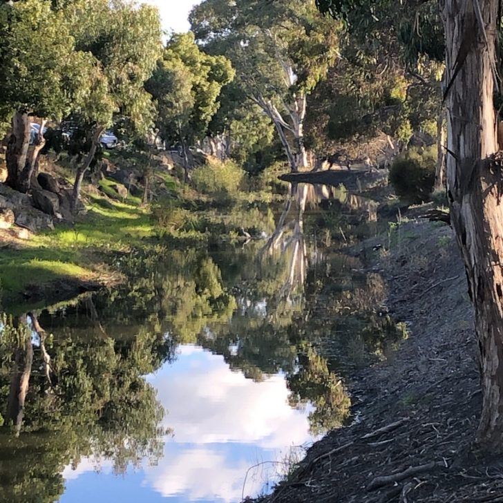 Elders Real Estate Wycheproof Your Local Real Estate Experts