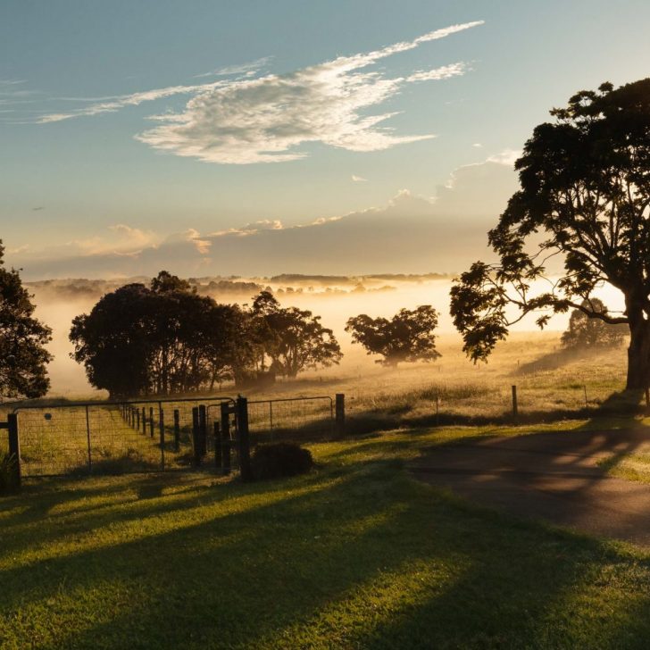 Elders Real Estate Wycheproof Your Local Real Estate Experts